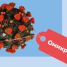 Обнаружено около 50 подвариантов омикрон-штамма
