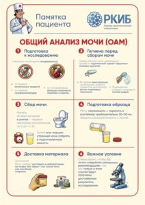 Подготовка к сдаче анализов Подготовка к сдаче анализов