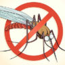В 12 районах Греции запретили донорство из-за 4 случаев малярии