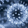 Антитела N6 способны нейтрализовать 98% ВИЧ-штаммов