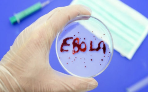 Прошедшую испытания российскую вакцину против Эболы скоро зарегистрируют