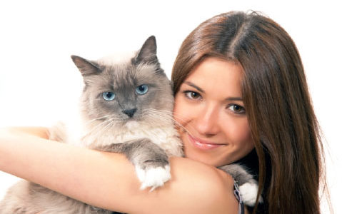 Паразит, заражающий кошек, может превратить предменструальный синдром в сущий кошмар