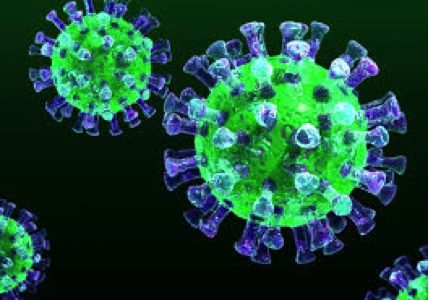 Экспериментальный препарат победит опасные вирусы