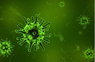 Ученые Санкт-Петербургского государственного университета нашли способ доставки антибиотиков в бактериальные клетки.