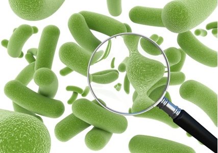 Кишечные бактерии обвинили в распространении устойчивости к антибиотикам