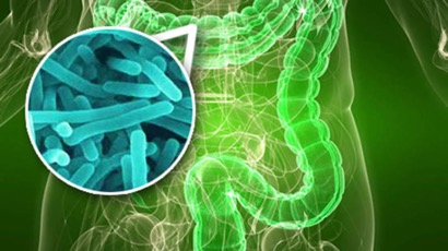 Исследователи выяснили, как кишечные бактерии управляют нашими генами