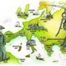 Ученые назвали истинные причины распространения чумы в Средние века Ученые назвали истинные причины распространения чумы в Средние века