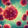 Низкий уровень вакцинации от гриппа создает угрозу пандемии Низкий уровень вакцинации от гриппа создает угрозу пандемии