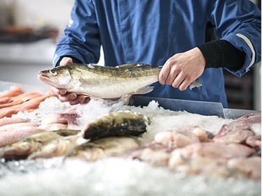 Что нужно знать о гельминтах, которыми мы рискуем заразиться при употреблении рыбы