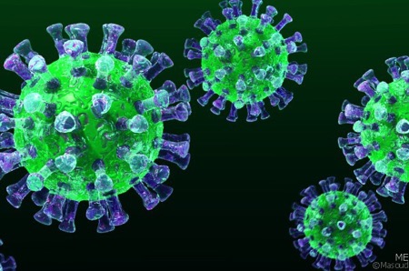 Роспотребнадзор предупредил о вирусе в ОАЭ, от которого нет вакцины
