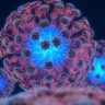 Эксперты работают над первым отечественным средством против ВИЧ