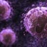 Ученые из США открыли две молекулы, подавляющие «спящий» ВИЧ