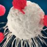 Онкологи натравили на раковые клетки вирус