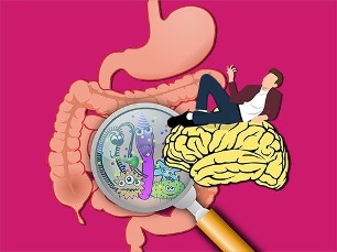 Как наше поведение связано с бактериями кишечника