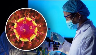 Новый коронавирус может выжить при нагреве до 60 градусов Цельсия