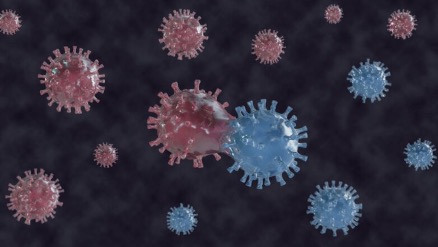 Мутации повышают заразность коронавируса