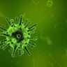 Вторая волна коронавируса, вероятно, будет менее суровой, прогнозируют специалисты