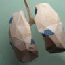 Выдыхайте: 5 проверенных способов укрепить здоровье легких Выдыхайте: 5 проверенных способов укрепить здоровье легких