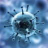 Ученые обнаружили новые «входные ворота» для коронавируса в легкие