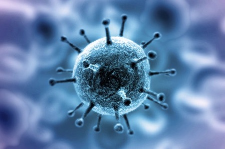 Ученые обнаружили новые «входные ворота» для коронавируса в легкие