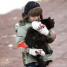 Осторожно, котик! Можно ли гладить и брать на руки бездомных животных