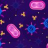 Ученые нашли антитела к омикрону