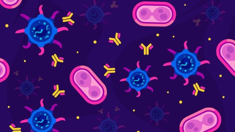 Ученые нашли антитела к омикрону