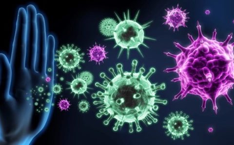 Можно ли улучшить работу иммунной системы?