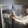Обновленный «Спутник V» введут в гражданский оборот после подтверждения его безопасности