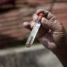 Роспотребнадзор предупредил о рисках заражения вирусом Зика за границей