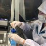 В России обнаружен подвариант коронавируса "Арктур" В России обнаружен подвариант коронавируса «Арктур»