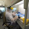 Роспотребнадзор: В России впервые обнаружен новый штамм коронавируса «кракен»