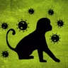 Как туристам защититься от оспы обезьян?